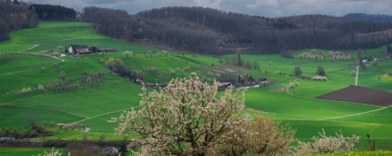 La TVA sur la marge des cessions de terrains à bâtir est sécurisée depuis le 1er février 2022