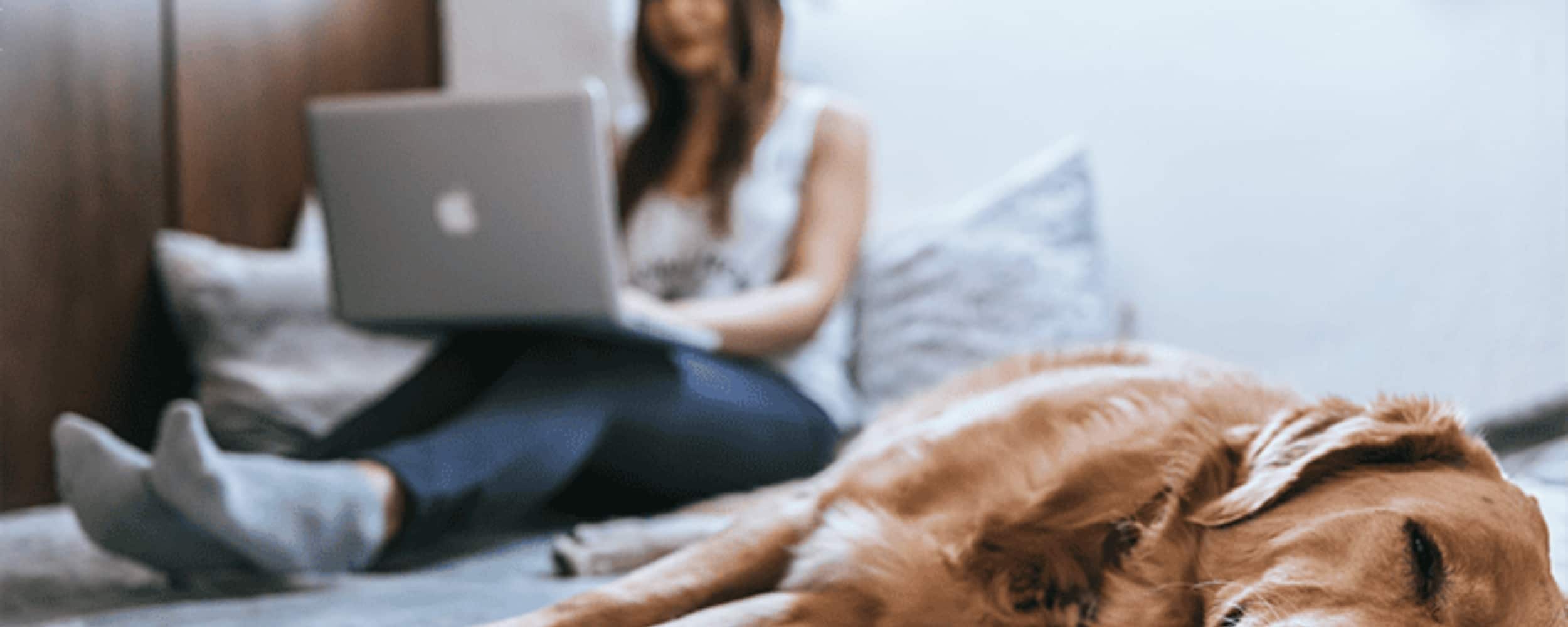 “Le télétravail à 100% quand c’est possible”, oui et … non !